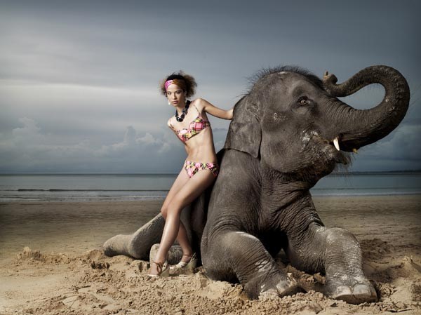 Danielle Hayes Model