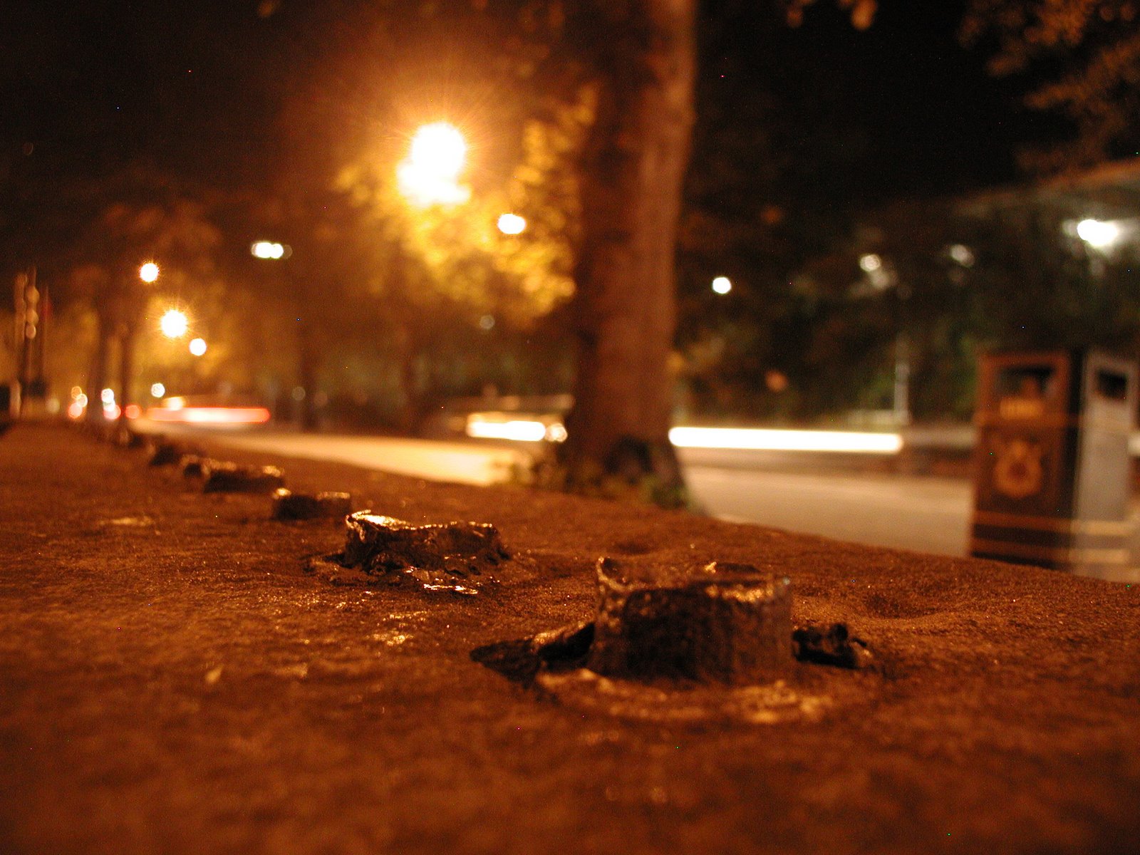 [P1010028.JPG]