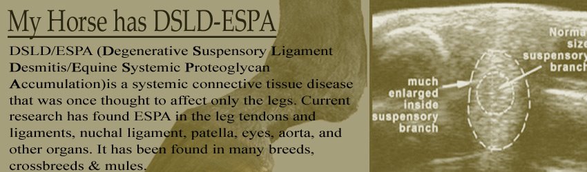 My Horse has DSLD-ESPA