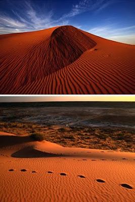 fascinating deserts
