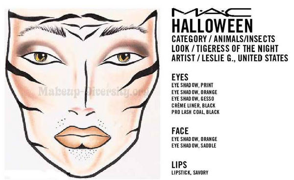 Tiger Inspired Makeup