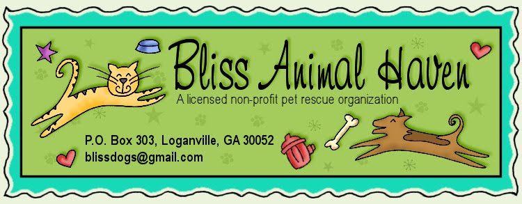 Bliss Animal Haven Rescue Stories