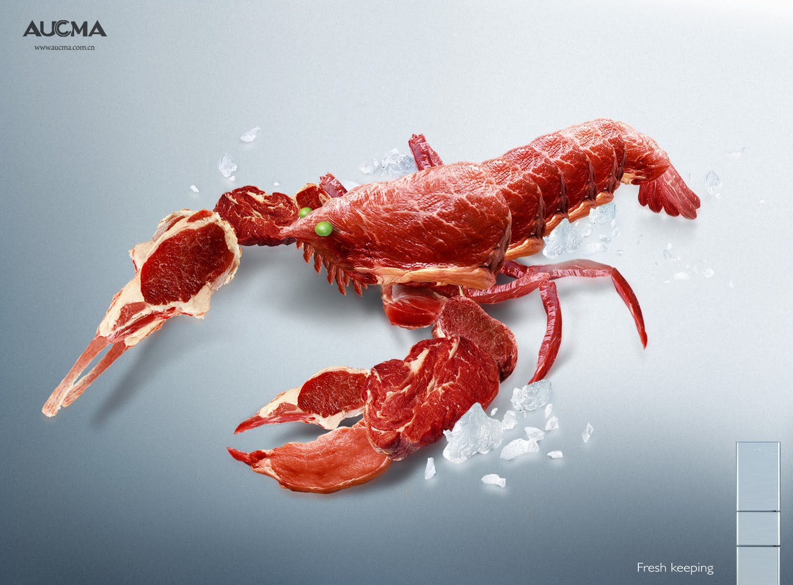 [aucma_lobster.jpg]