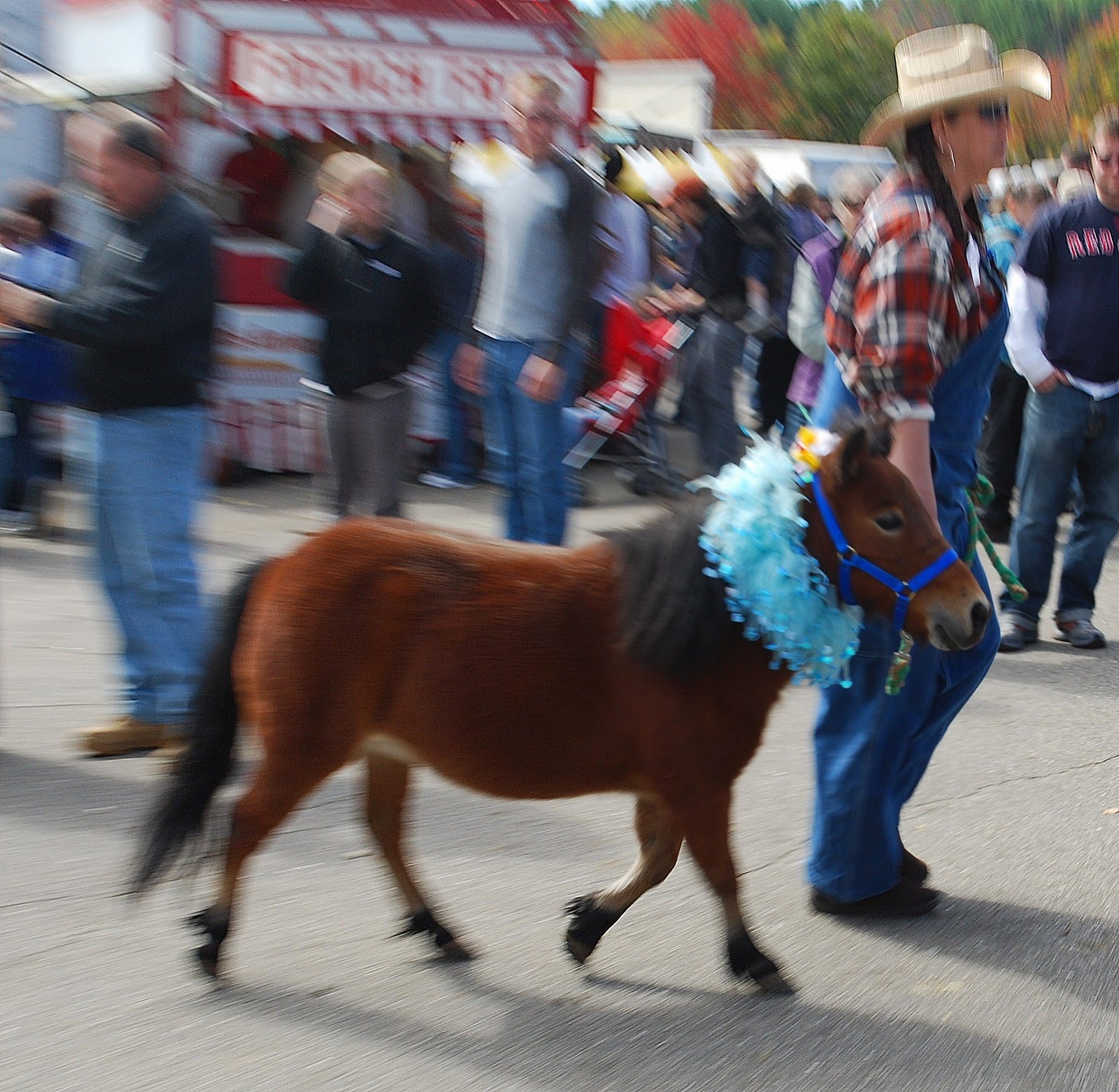 Fab The Sandwich Fair, Part One