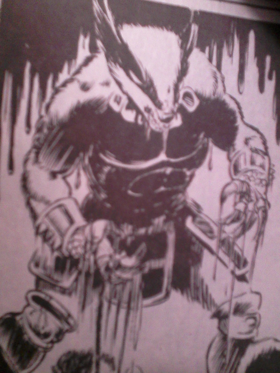 reptile heart chambers