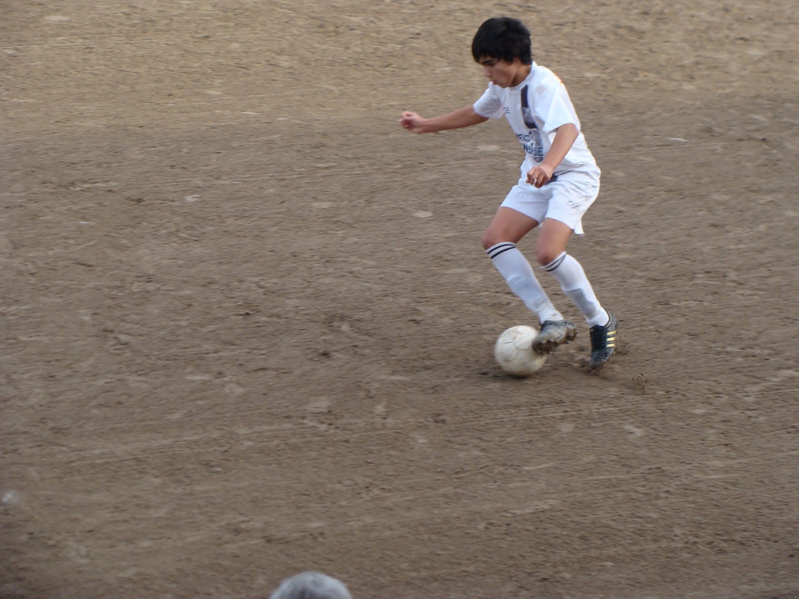 [DSC03014.JPG]