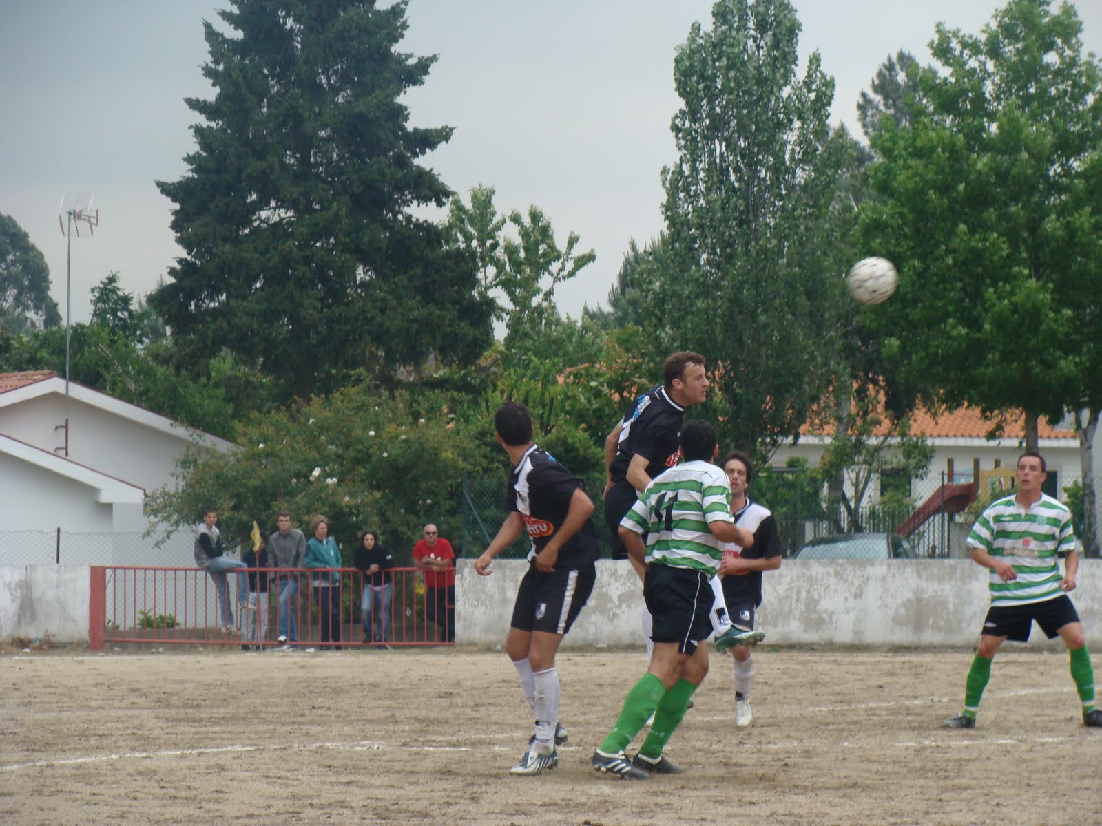 [DSC01367.JPG]
