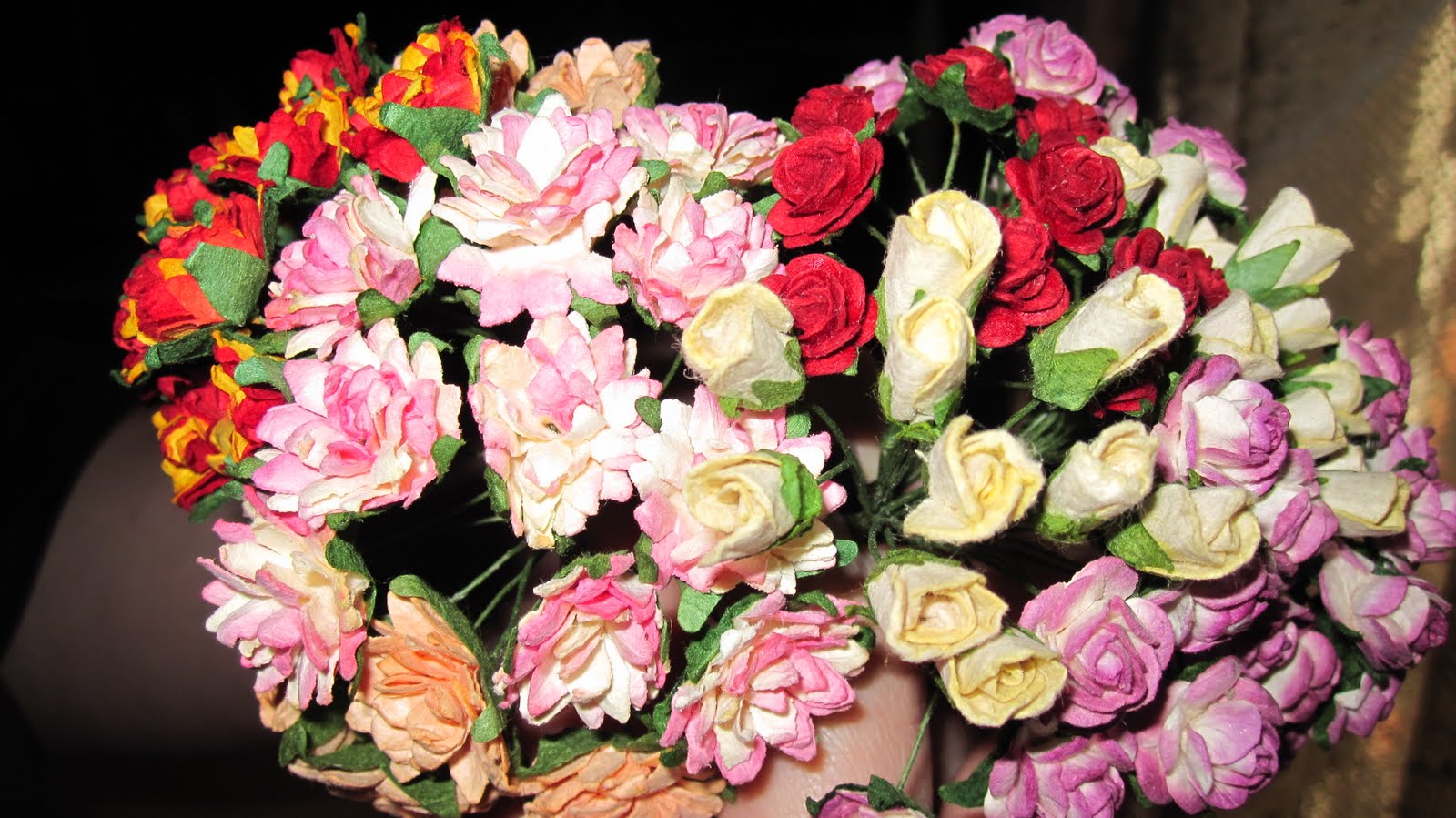 [20100127_20.JPG]