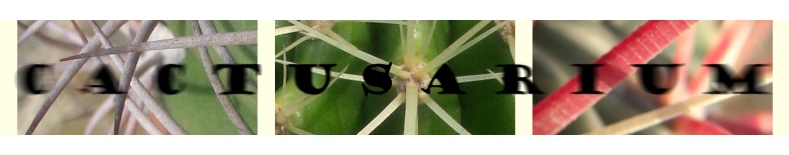 cactusarium