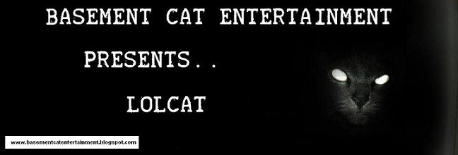 Basement Cat Entertainment