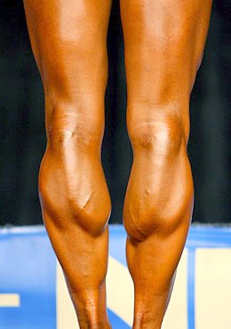 [calves.jpg]