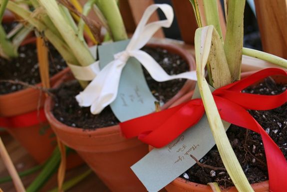 [amy's+wedding+6jpg.jpg]