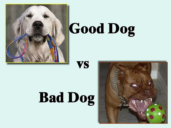 Jai Nitai dasa Good Dog vs Bad Dog Session One