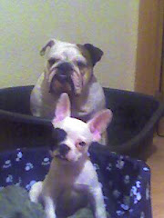 Lola y Benito