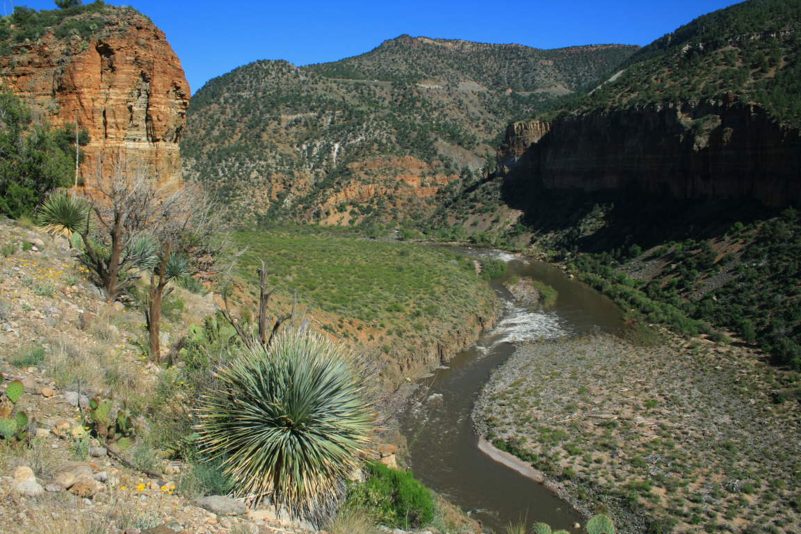 arizona salt river
