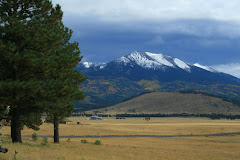 San Francisco Peaks Stratovolcano