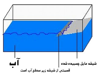 ساخت خشکی برای لاک پشت