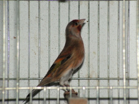 [PICT0066.JPG]