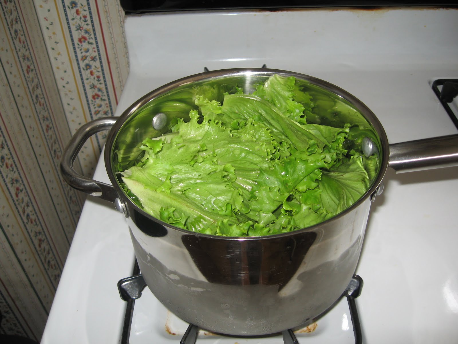 And then you laugh Tadpoles