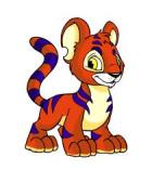 Si, ya se, esto es de Neopet Tigre