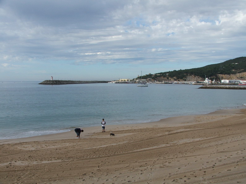 [DSCF3335_resize.JPG]