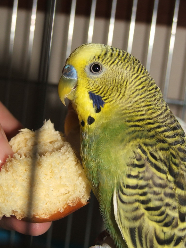 [DSCF8943_resize.JPG]