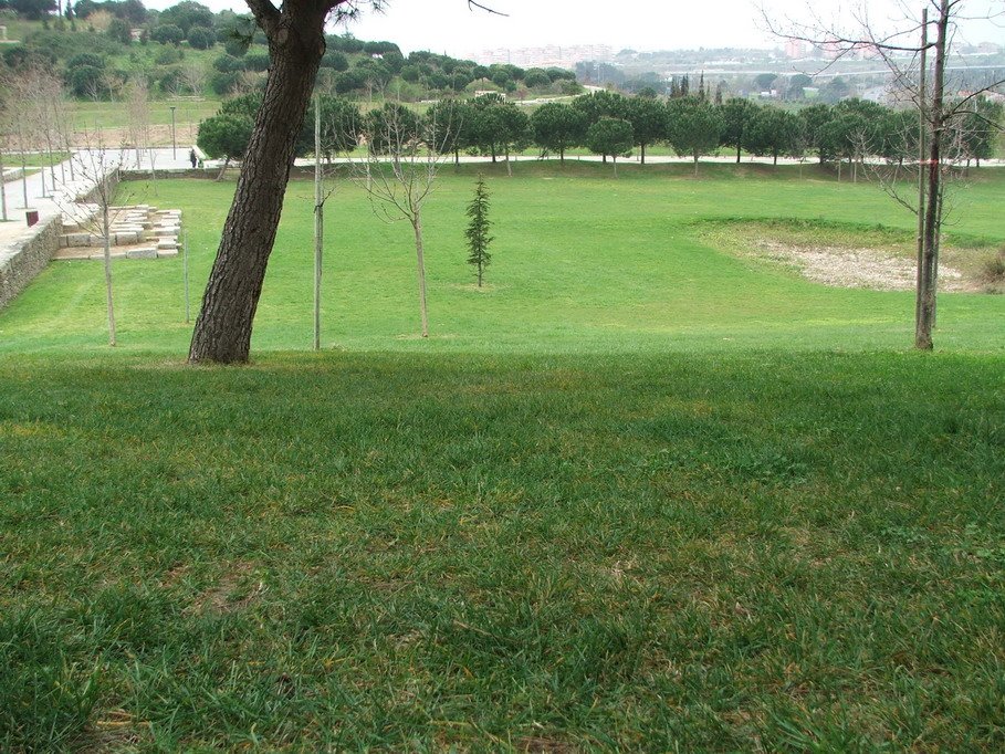 [DSCF9278_resize.JPG]