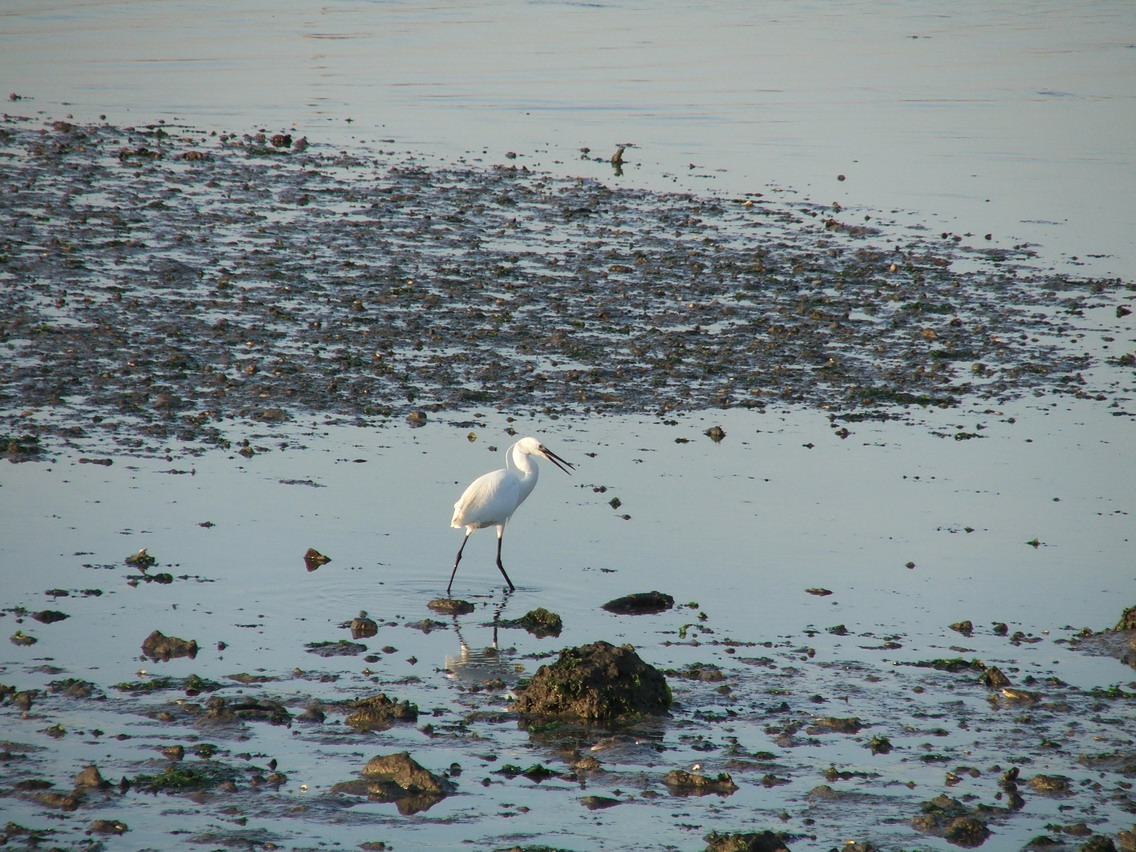 [DSCF2209_resize.JPG]