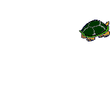 [turtle_angry[1].gif]