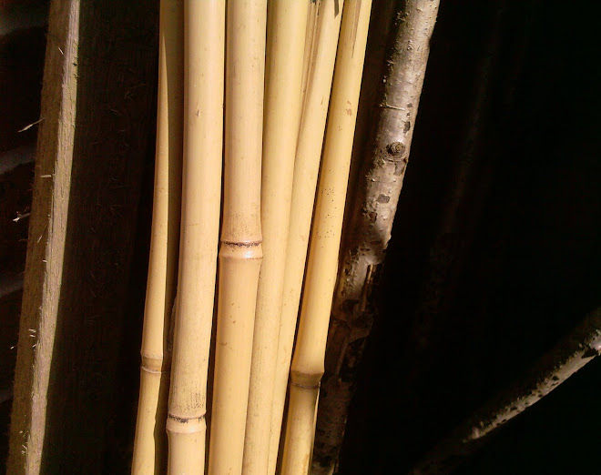 BAMBOO POLES AND UPRIGHT WOOD