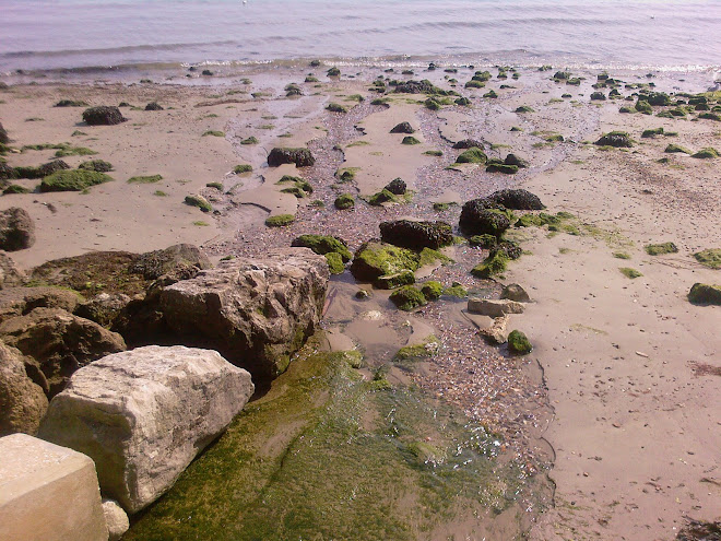 UNDERGROUND STREAM REACHES THE SEA