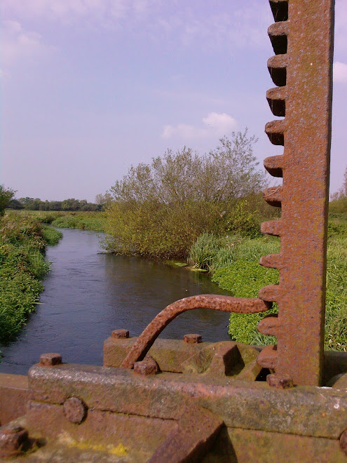 FIELD FLOODGATE AND TRIBUTARY OF FROME