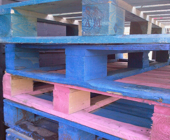 PINK AND BLUE PALETTES