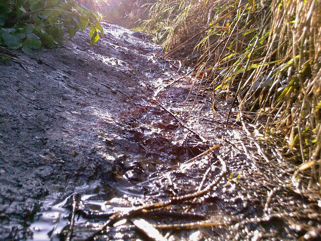 WET PATH ON HILL