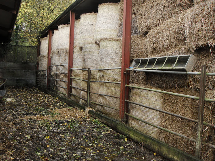 BETWEEN THE BYRE AND THE BARN