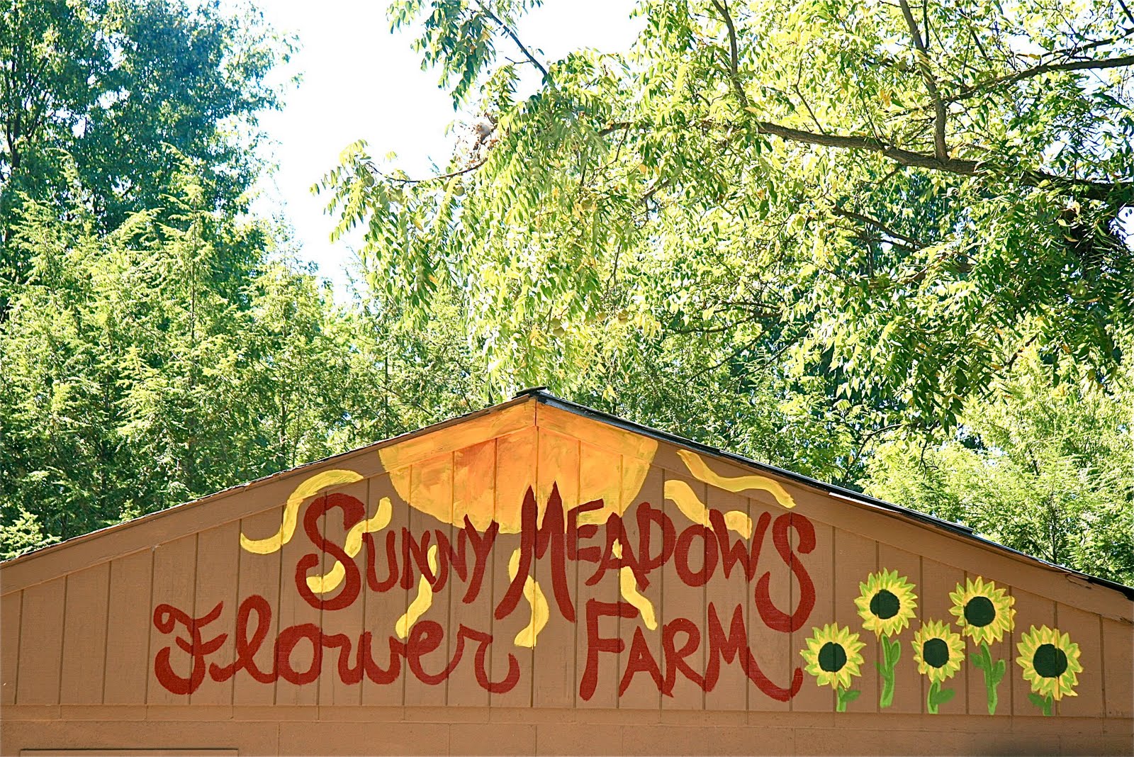 Cool Columbus Sunny Meadows Farm