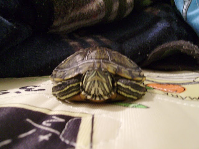[PICT0323.JPG]