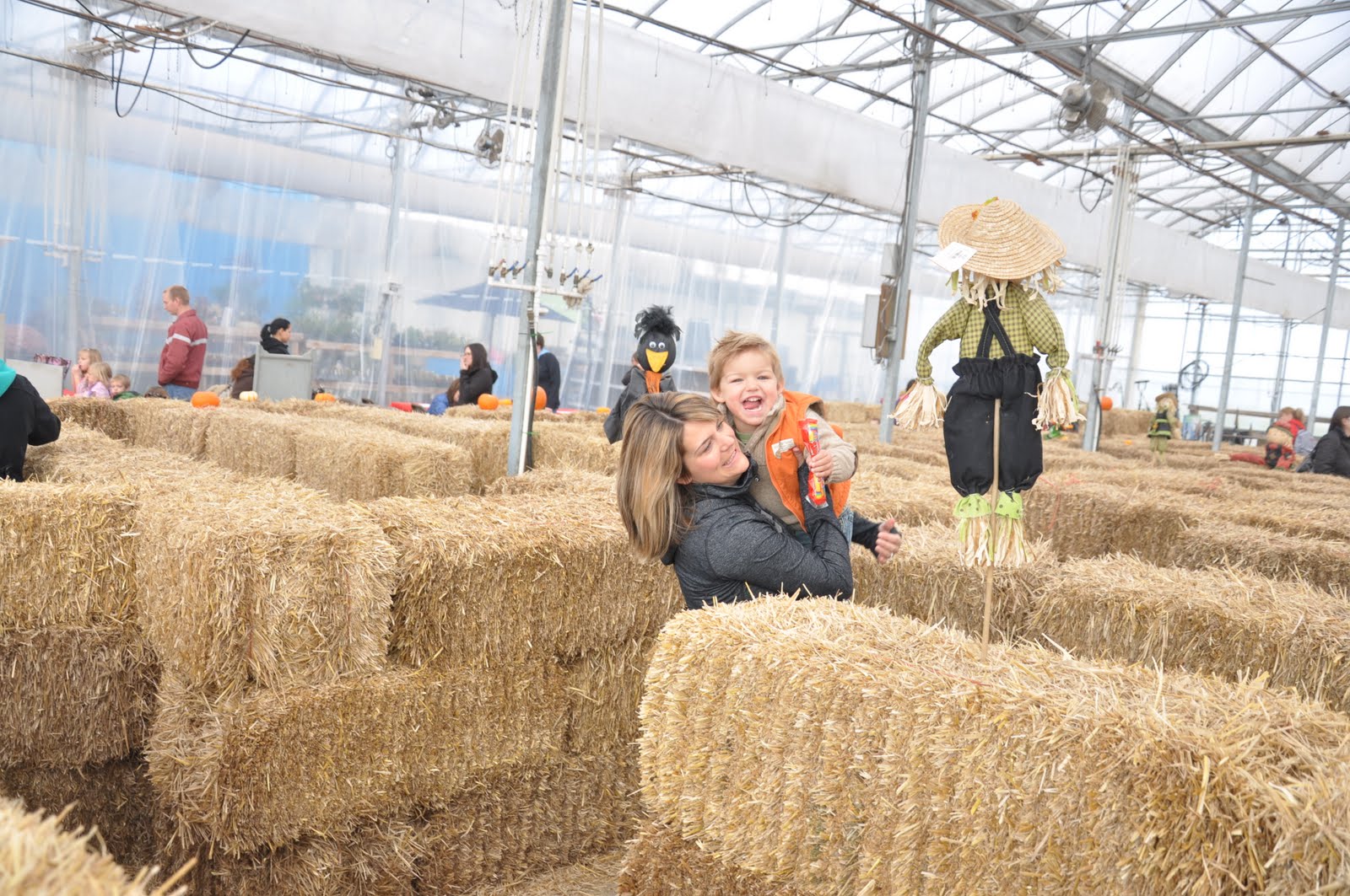 Dutch Growers Saskatoon Pumpkin Patch