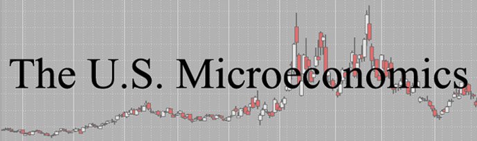 The US Microeconomics