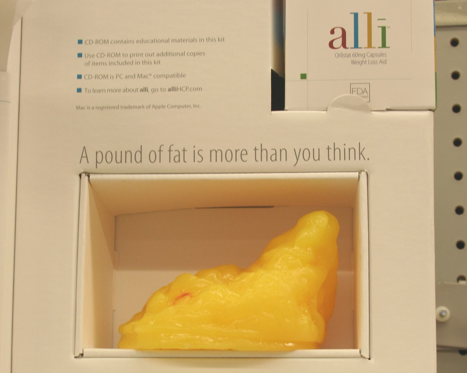 [fat.jpg]