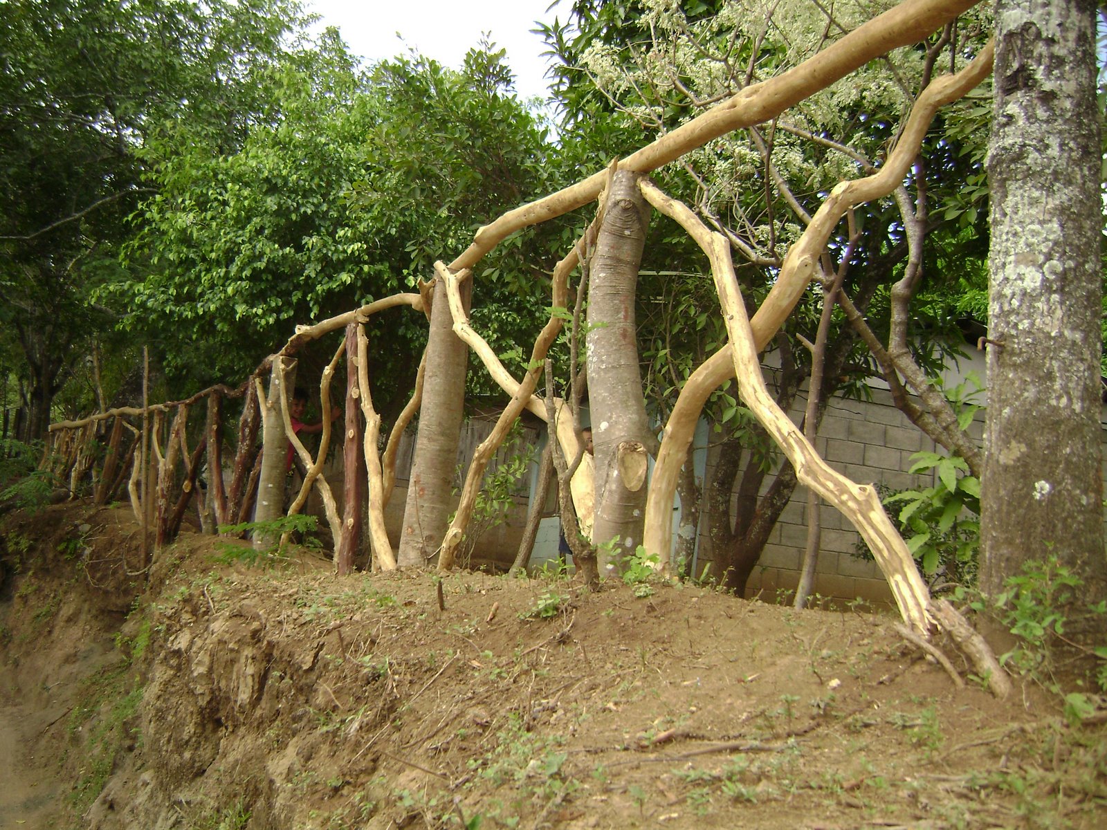 [DSC00018.JPG]