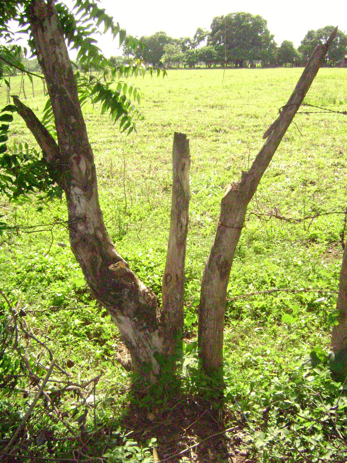 [DSC00003.JPG]
