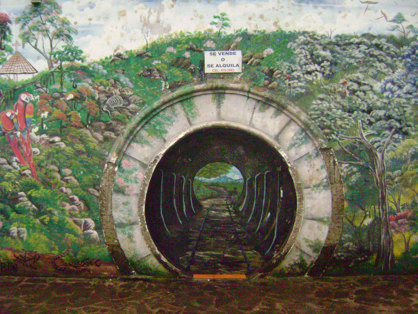 [DSC00013.JPG]