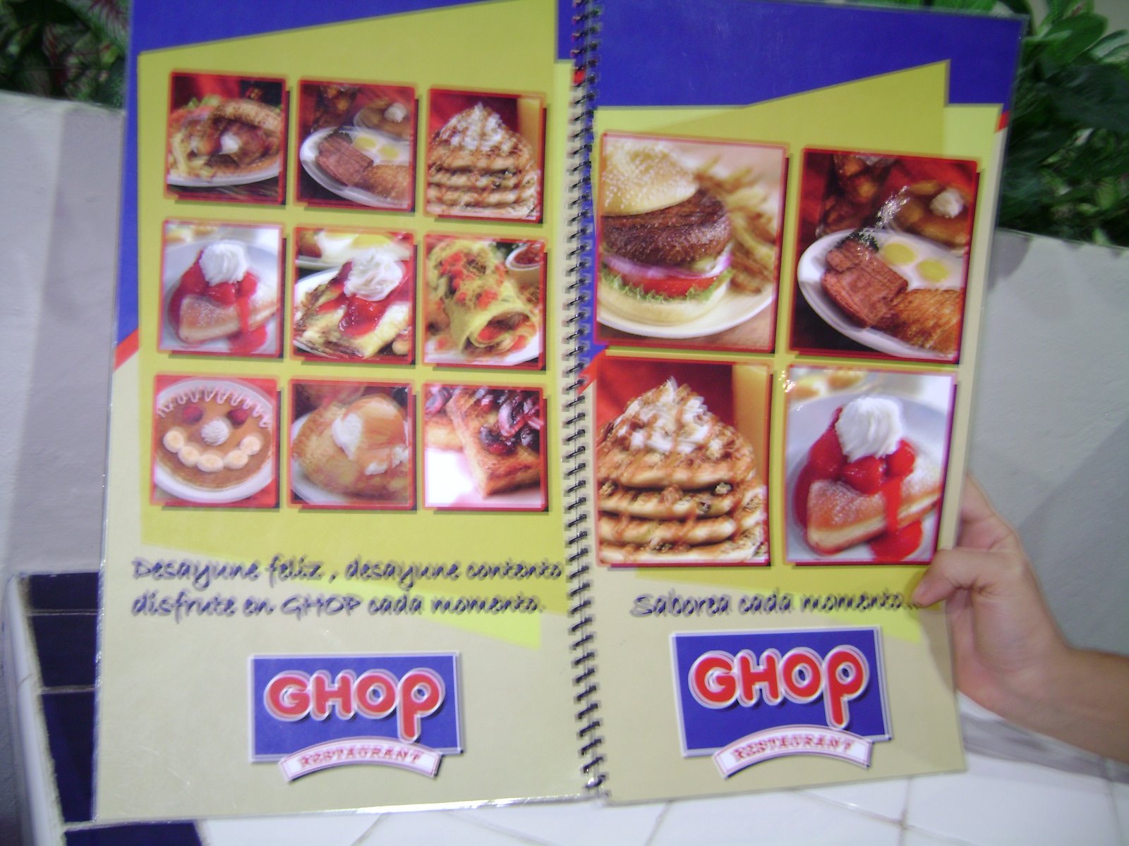 [DSC00023.JPG]