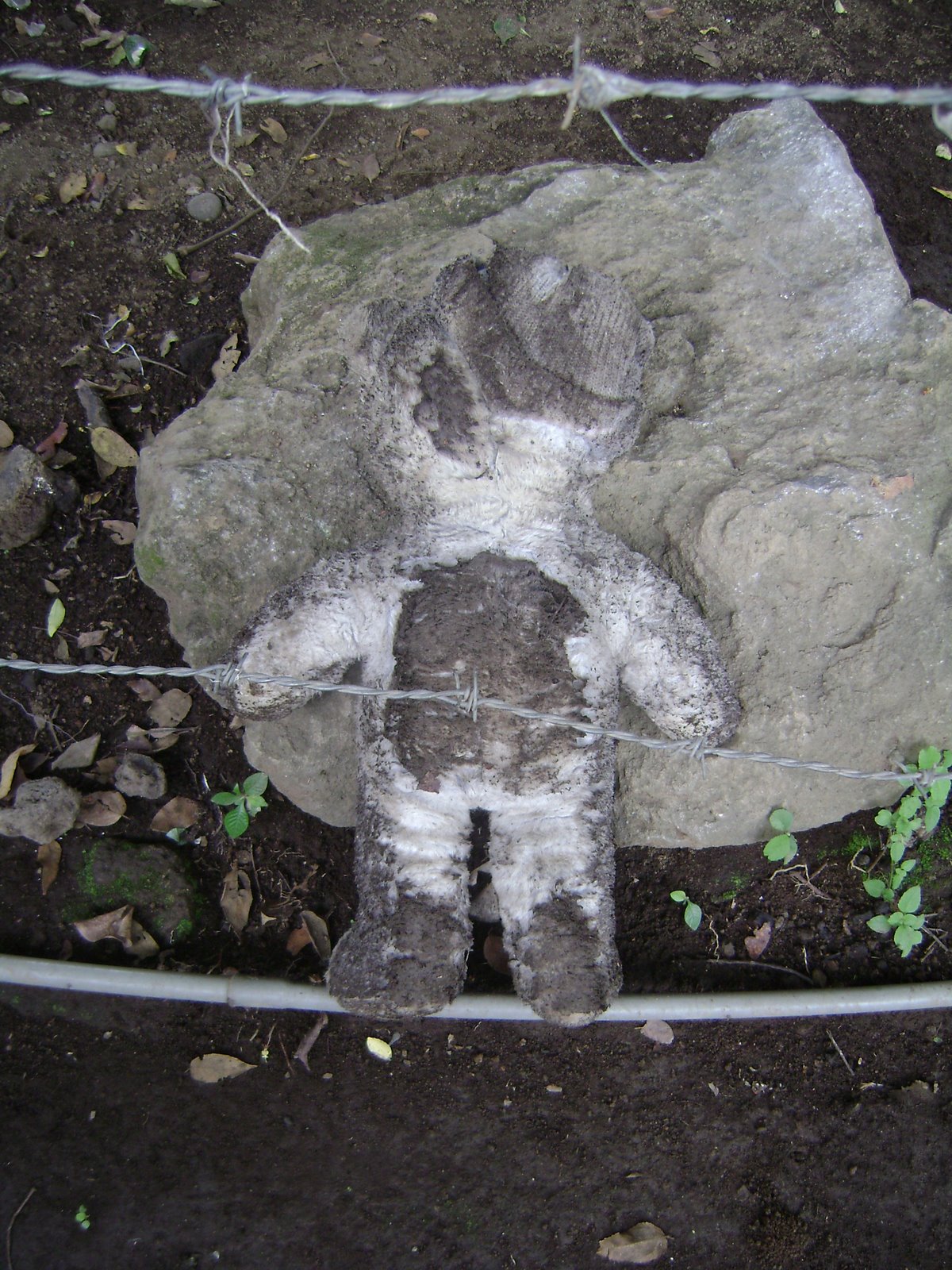 [DSC00011.JPG]