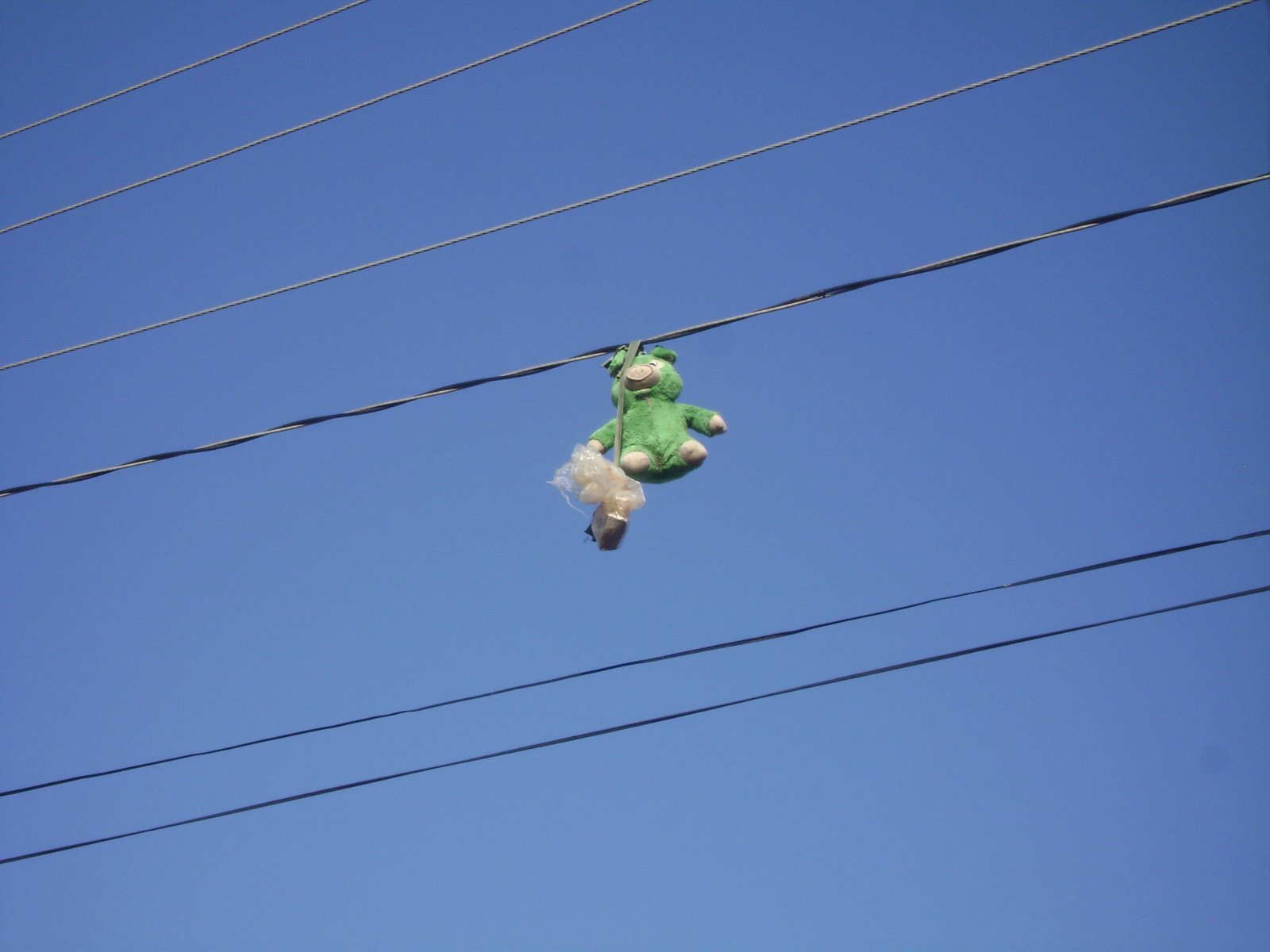 [DSC00004.JPG]