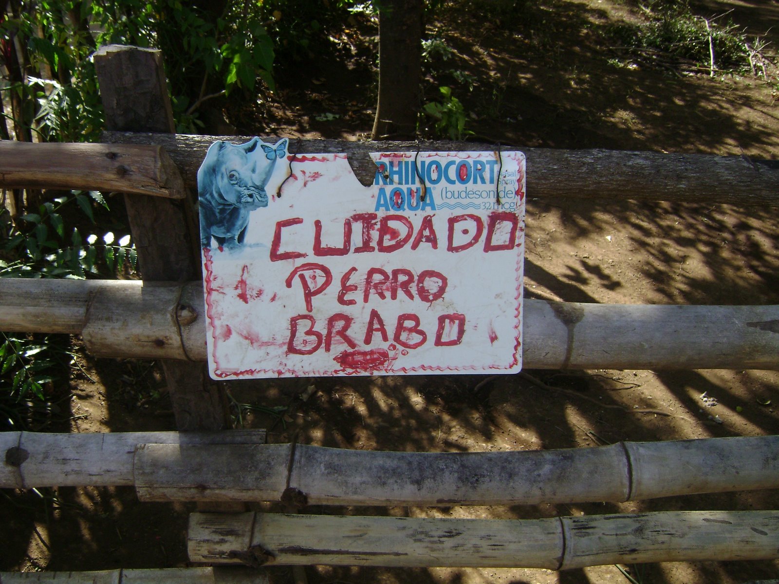 [DSC00015.JPG]
