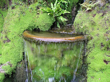 A fountain in Ireland