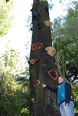 Erin pointing out some difficult to spot toadstools