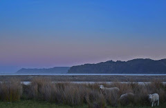 Sunset at Hicks Bay
